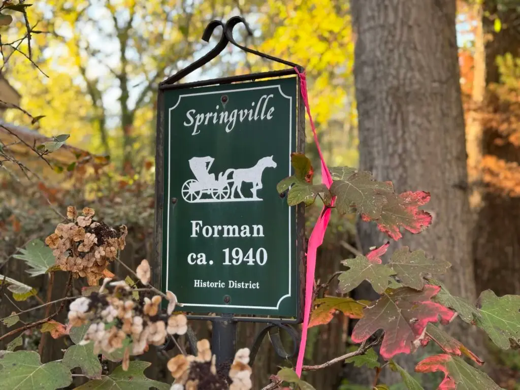 Forman 1940 Historic District Springville